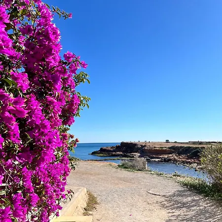 Bruno Sea View