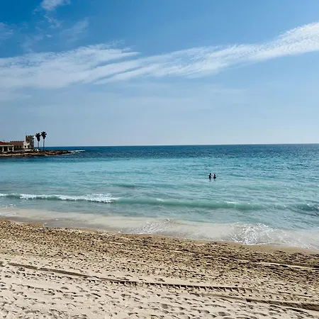 Bruno Sea View טורבייחה